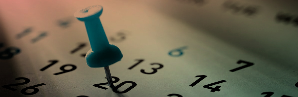 Los delegados del Patronato de Torreciudad